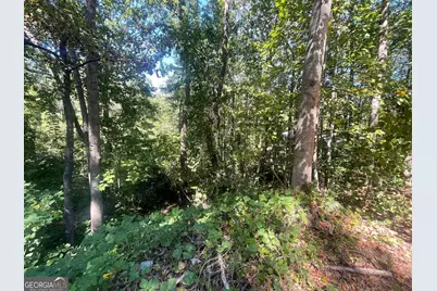 0 Eagle Court, Toccoa, GA 30577 - Photo 5