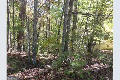 0 Zeppelin Strasse #LOT 78, Helen, GA 30545 - Photo 9