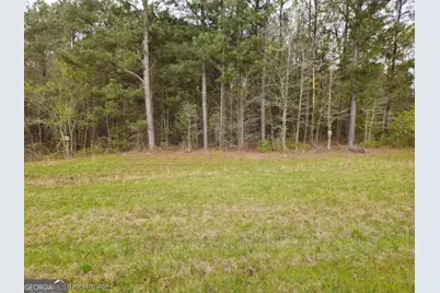 0 Tract 4A US Highway 341 N, Musella, GA 31066 - Photo 1