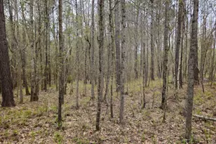 0 Tract 3C US Hwy 341 N, Musella, GA 31066 - Photo 1