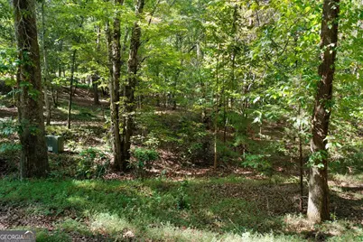 0 SW Oakmont Drive Southwest Drive SW #LOTS 10 AND 11, Rome, GA 30161 - Photo 17