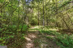 56 Jaybird Rd, Carrollton, GA 30117 - Photo 43