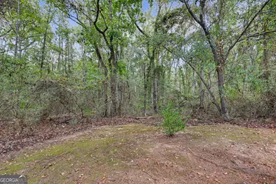 830 Lord Fleming Road, Comer, GA 30629 - Photo 51