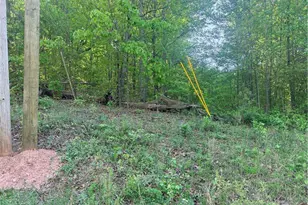 0000 Mountain View Circle, Bremen, GA 30110 - Photo 1