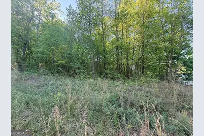0000 Mountain View Circle, Bremen, GA 30110 - Photo 5