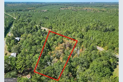 0 Friendship Road, Sylvania, GA 30467 - Photo 5
