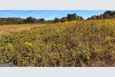 36.55 Acres Back Valley Road, Lyerly, GA 30730 - Photo 5
