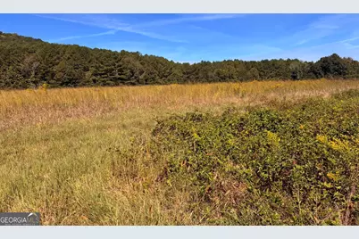 36.55 Acres Back Valley Road, Lyerly, GA 30730 - Photo 7