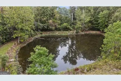 2325 Claxton Dairy Road, Dublin, GA 31021 - Photo 53
