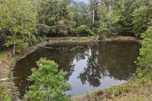 2325 Claxton Dairy Rd, Dublin, GA 31021 - Photo 53
