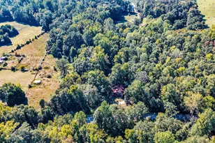 287 Dumas Rd, Forsyth, GA 31029 - Photo 43