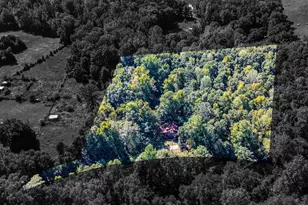 287 Dumas Rd, Forsyth, GA 31029 - Photo 41