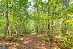 478 Blue Store Rd, Forsyth, GA 31029 - Photo 59