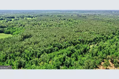 0 Courtground Road #A, Washington, GA 30673 - Photo 15