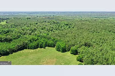 0 Courtground Road #A, Washington, GA 30673 - Photo 7