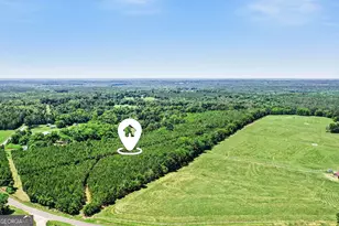 0 Courtground Rd, Washington, GA 30673 - Photo 1