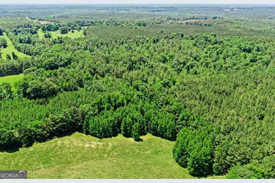 0 Courtground Road #A, Washington, GA 30673 - Photo 5