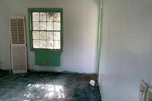 222 Old Ailey Lothair Rd, Mount Vernon, GA 30445 - Photo 17