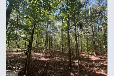 0 Mays Bridge Road, Rome, GA 30165 - Photo 15