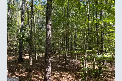 0 Mays Bridge Road, Rome, GA 30165 - Photo 25