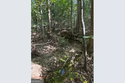 0 Mays Bridge Road, Rome, GA 30165 - Photo 7