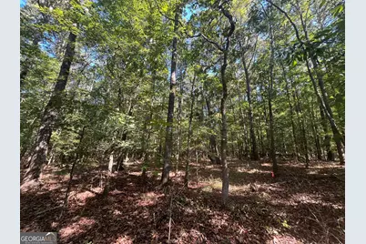 0 Mays Bridge Road, Rome, GA 30165 - Photo 17