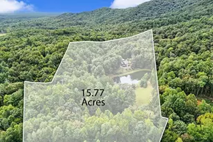 3469 Tails Creek Church Rd, Ellijay, GA 30540 - Photo 7