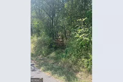 00 Carver Mill Road, Talking Rock, GA 30175 - Photo 7