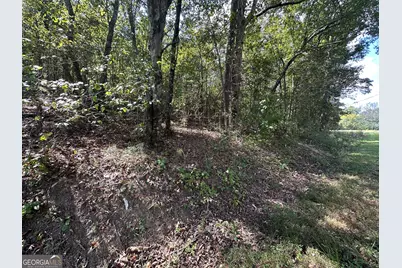 00 Carver Mill Road, Talking Rock, GA 30175 - Photo 3