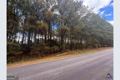 Lot 4 &amp; 5 Limestone Landing, Cochran, GA 31014 - Photo 3