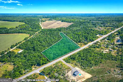 0 Hwy 168, Nashville, GA 31369 - Photo 3