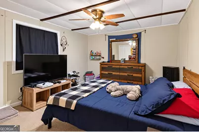 226 Hines Road, Moreland, GA 30259 - Photo 13