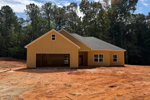 171 Avalee Rd, Brooks, GA 30205 - Photo 3