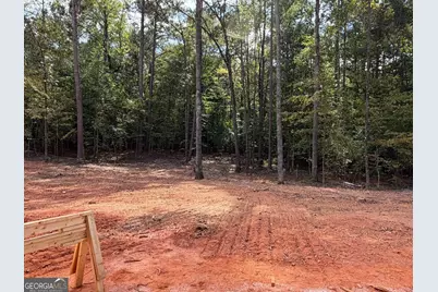 171 Avalee Road, Brooks, GA 30205 - Photo 21