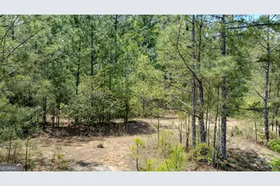 201 Bullsboro Drive, Newnan, GA 30263 - Photo 19