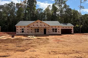173 Avalee Rd, Brooks, GA 30205 - Photo 3