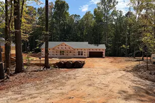 173 Avalee Rd, Brooks, GA 30205 - Photo 1