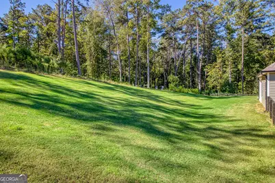 161 Reagan Farm Road, Newnan, GA 30263 - Photo 59