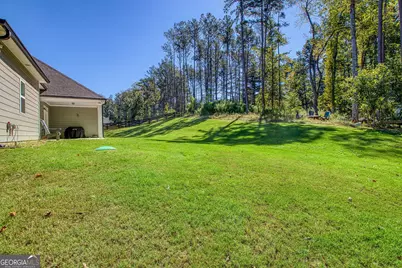 161 Reagan Farm Road, Newnan, GA 30263 - Photo 57