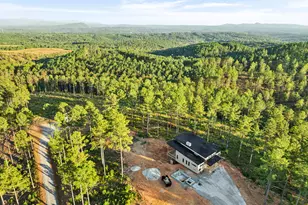 Lt 90 Springfield Pkwy, Ellijay, GA 30540 - Photo 15