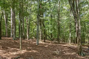 000 Middlebrooks Rd, Watkinsville, GA 30677 - Photo 1