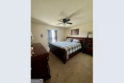 10783 Wheeler Trace, Hampton, GA 30228 - Photo 17