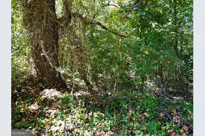 4.99 Acres Tye St, Stockbridge, GA 30281 - Photo 11