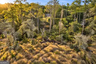 296 Magnolia Rd, Midway, GA 31320 - Photo 43