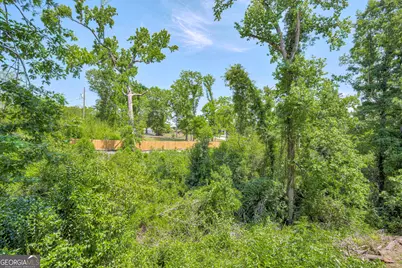 225 Water Oak Drive, Augusta, GA 30904 - Photo 39