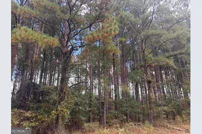 Lot 5 &amp; 6 Limestone Landing, Cochran, GA 31014 - Photo 1