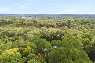 1293 Bronco Rd, Lafayette, GA 30728 - Photo 35