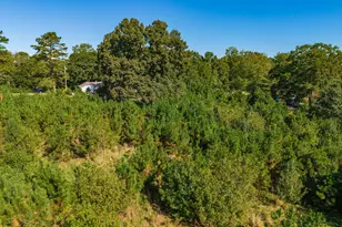 0 Wallace Tatum Rd, Cumming, GA 30028 - Photo 7
