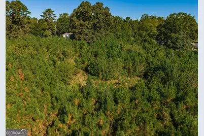 0 Wallace Tatum Road, Cumming, GA 30028 - Photo 21