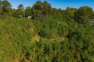 0 Wallace Tatum Rd, Cumming, GA 30028 - Photo 21
